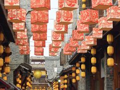 -武汉园博园(武汉自然博物馆)