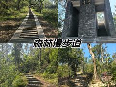 -青龙山国家森林公园