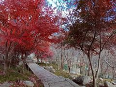 -崂山巨峰游览区