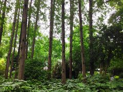 -上海醉白池公园