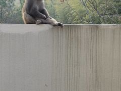 -苏州环秀晓筑养生度假村