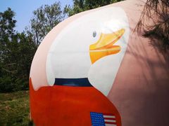 -漳州滨海火山岛自然生态风景区