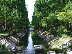 -东平国家森林公园