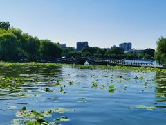 -济南大明湖景区