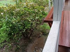 -故乡缘·香格里拉山庄(冷竹路店)