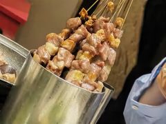 只撒盐的羊肉串-蒙料·手把肉(望京店)