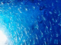 -嘉百乐超市(新东街店)