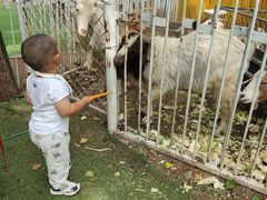 -1982农场