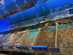 -启东小海鲜(庄先湾路1号店)