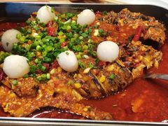 -鱼酷活鱼烤鱼(沈阳大悦城店)