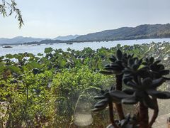 -湖畔居茶楼(湖滨店)