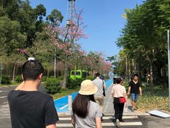 -南沙天后宫景区