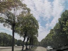 -胜华驾校·小猫学车(银都店)