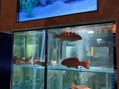 -海派悦庭·海胆烧麦·新融合菜(凯德广场店)