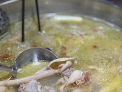 -云鱿记鱿鱼鸡·野生菌火锅(人民南路店)