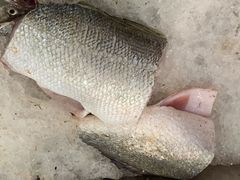 -老钱饭店(后渚港店)