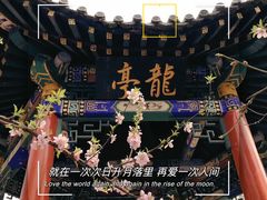 -桃花堤公园