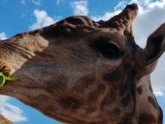 -鄂尔多斯野生动物园