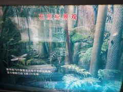 -上海昆虫博物馆