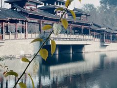 -重庆彩云湖湿地公园