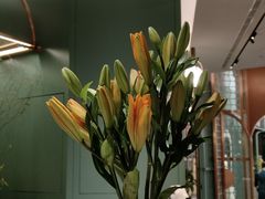 -南堂馆·新川菜(春熙路店)