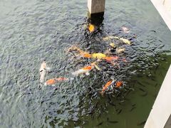 -水濂山森林公园