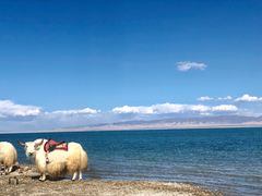 -青海湖国家重点风景名胜区