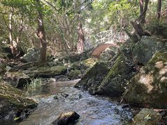 -夏霖九天银瀑风景区