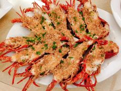 龙虾-新金盛·海鲜酒楼(盐田店)