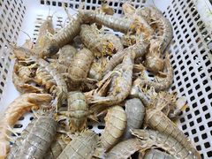 -王四营海鲜市场