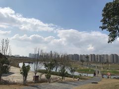 -洋湖国家湿地公园