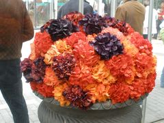 -上海鲜花港