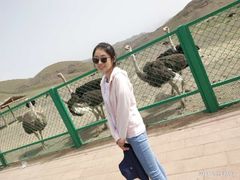 -新疆天山野生动物园