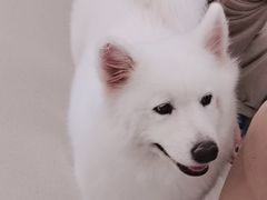 -共舞时光猫咖·狗咖(新街口店)
