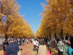 -辽宁大学(崇山校区)