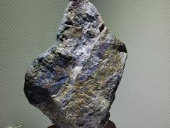 -中国第四纪冰川遗迹陈列馆