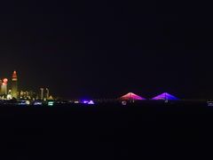 -武汉两江游览·夜游长江(汉口粤汉码头)
