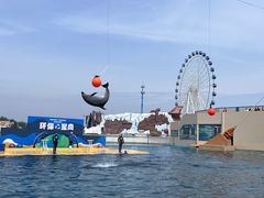 -秦皇岛乐岛海洋王国