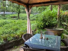 -野蔓果·山野菜(西湖景区·龙井茶田店)