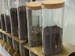 -雾与山茶(大禹城店)