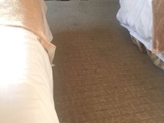 地毯-北京国玉大酒店(鸟巢科技馆店)