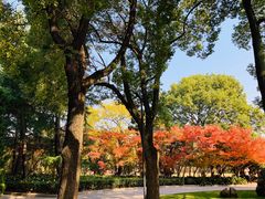 -上海市龙华烈士陵园