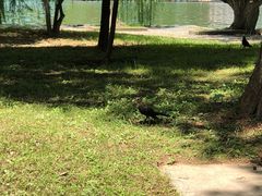 -食膳公园包子铺(烈士公园店)