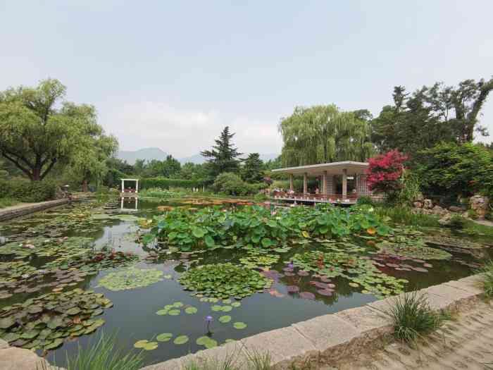 國家植物園(原北京植物園)-