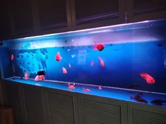 -柳园春天特色餐厅(南浔古镇店)