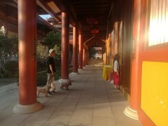 -三水森林公园