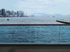 -海港城