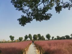 -汉长安城未央宫国家考古遗址公园