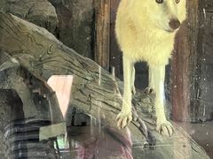 -杭州野生动物世界
