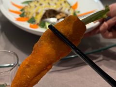 -丁老爷子苏香圆